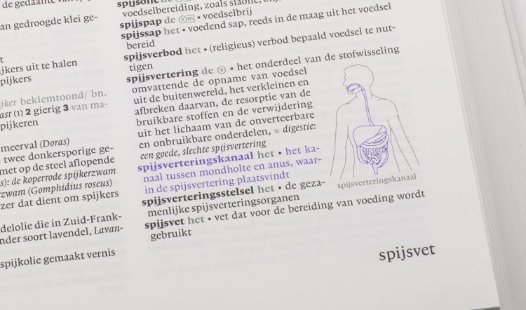 Dikke Van Dale - DDA